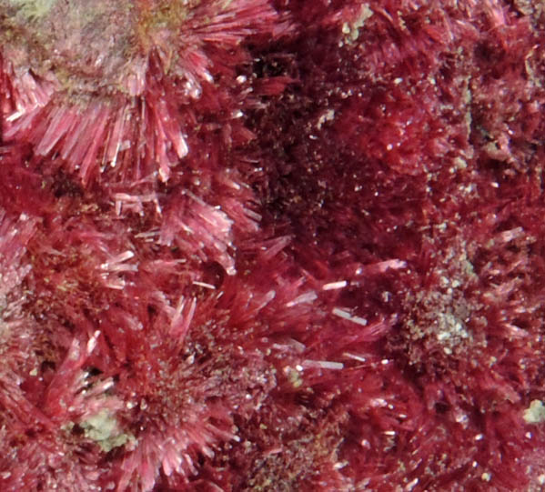 Erythrite from Mount Cobalt Mine, Mount Isa-Cloncurry District, Queensland, Australia