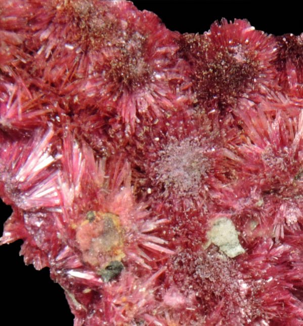 Erythrite from Mount Cobalt Mine, Mount Isa-Cloncurry District, Queensland, Australia