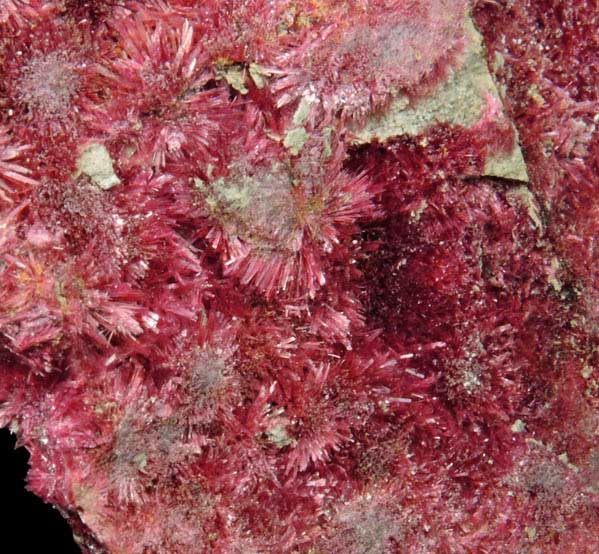 Erythrite from Mount Cobalt Mine, Mount Isa-Cloncurry District, Queensland, Australia