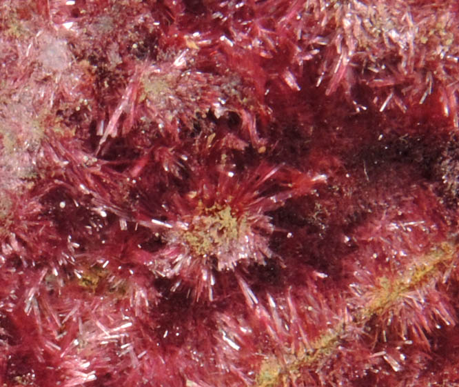 Erythrite from Mount Cobalt Mine, Mount Isa-Cloncurry District, Queensland, Australia