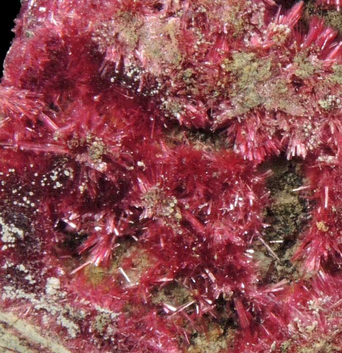 Erythrite from Mount Cobalt Mine, Mount Isa-Cloncurry District, Queensland, Australia