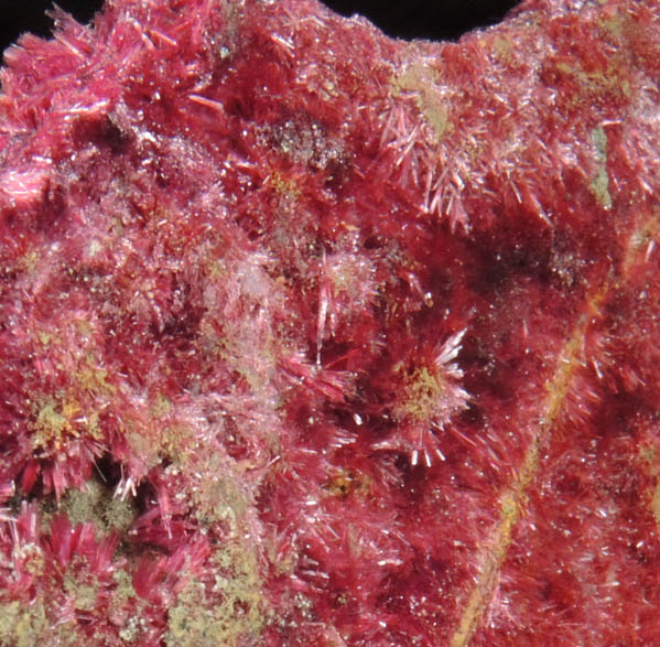 Erythrite from Mount Cobalt Mine, Mount Isa-Cloncurry District, Queensland, Australia