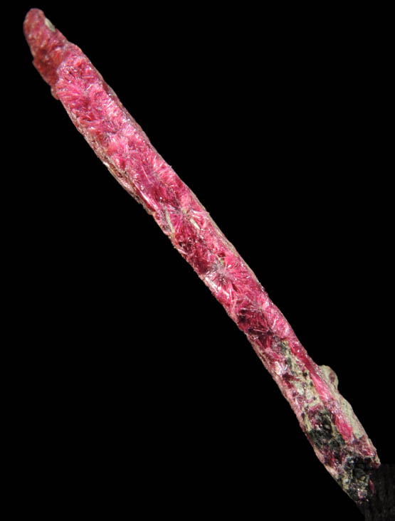 Erythrite from Mount Cobalt Mine, Mount Isa-Cloncurry District, Queensland, Australia