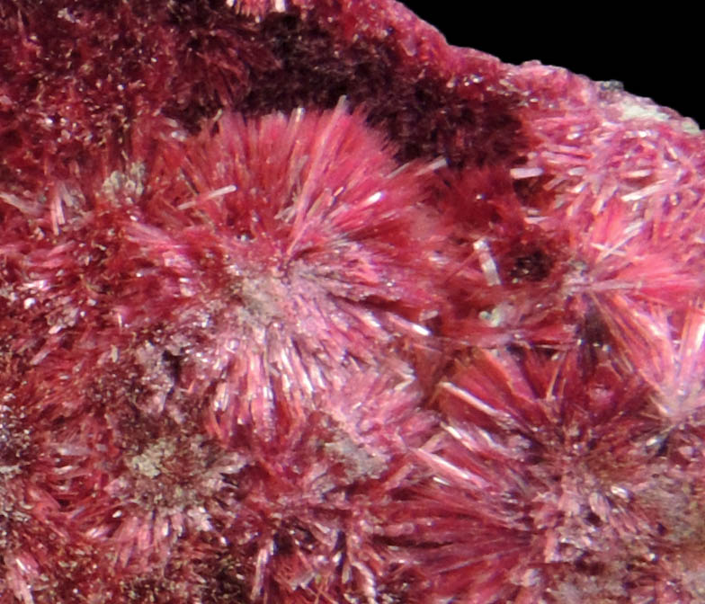 Erythrite from Mount Cobalt Mine, Mount Isa-Cloncurry District, Queensland, Australia