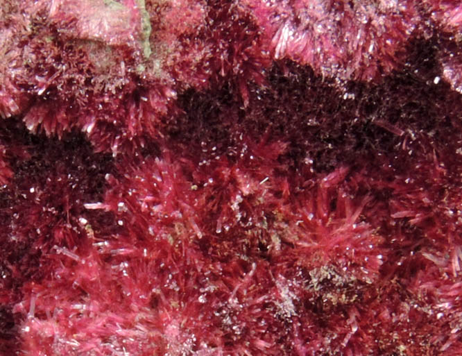 Erythrite from Mount Cobalt Mine, Mount Isa-Cloncurry District, Queensland, Australia