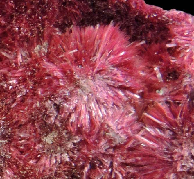 Erythrite from Mount Cobalt Mine, Mount Isa-Cloncurry District, Queensland, Australia