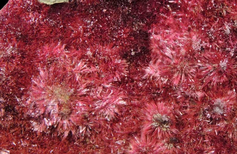 Erythrite from Mount Cobalt Mine, Mount Isa-Cloncurry District, Queensland, Australia