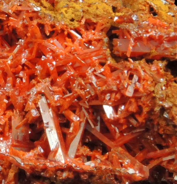 Crocoite from Red Lead Mine, Dundas, Tasmania, Australia