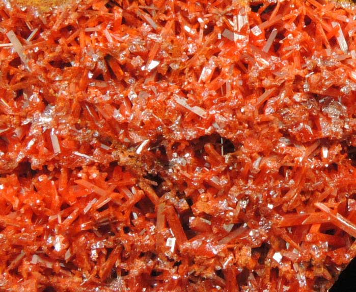 Crocoite from Red Lead Mine, Dundas, Tasmania, Australia