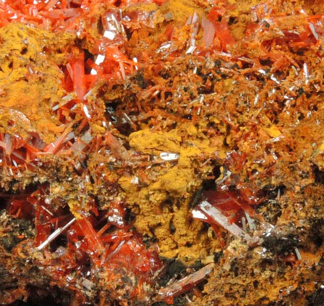 Crocoite from Red Lead Mine, Dundas, Tasmania, Australia