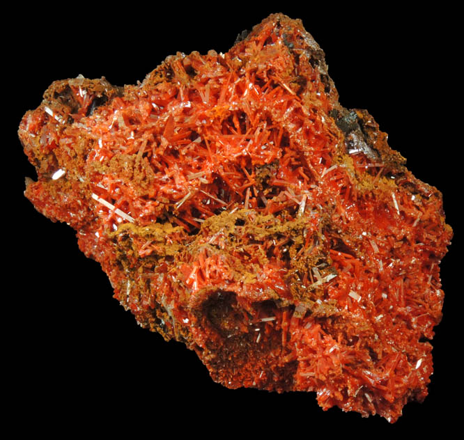 Crocoite from Red Lead Mine, Dundas, Tasmania, Australia