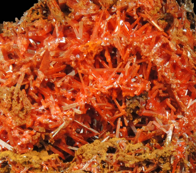 Crocoite from Red Lead Mine, Dundas, Tasmania, Australia