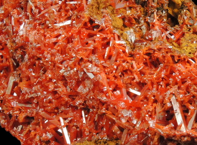 Crocoite from Red Lead Mine, Dundas, Tasmania, Australia