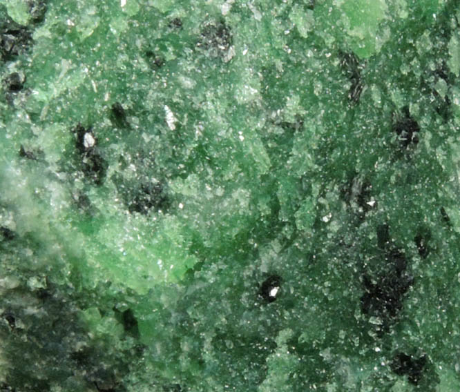 Pargasite in Zoisite from Longido, Arusha, Tanzania