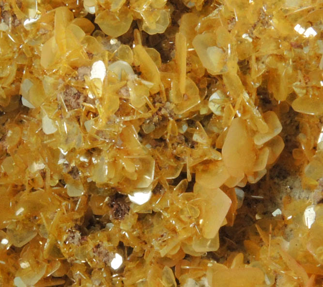 Wulfenite from Defiance Mine, Courtland-Gleeson District, Cochise County, Arizona