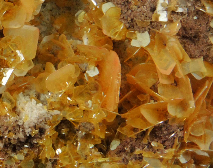 Wulfenite from Defiance Mine, Courtland-Gleeson District, Cochise County, Arizona