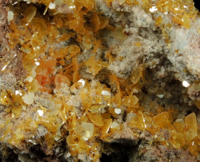 Wulfenite from Defiance Mine, Courtland-Gleeson District, Cochise County, Arizona