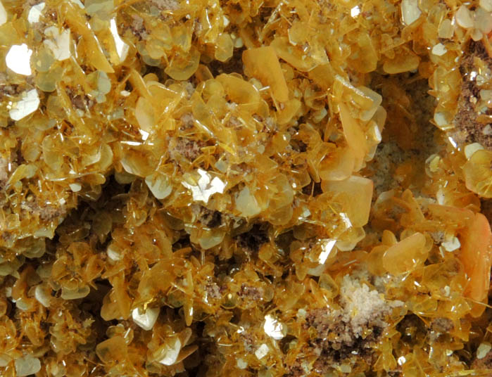 Wulfenite from Defiance Mine, Courtland-Gleeson District, Cochise County, Arizona