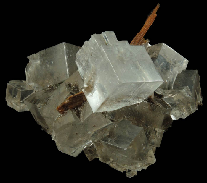 Halite over wood from mine timber from Wieliczka Mine, Malopolskie, Poland