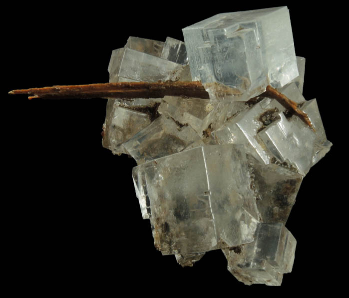 Halite over wood from mine timber from Wieliczka Mine, Malopolskie, Poland