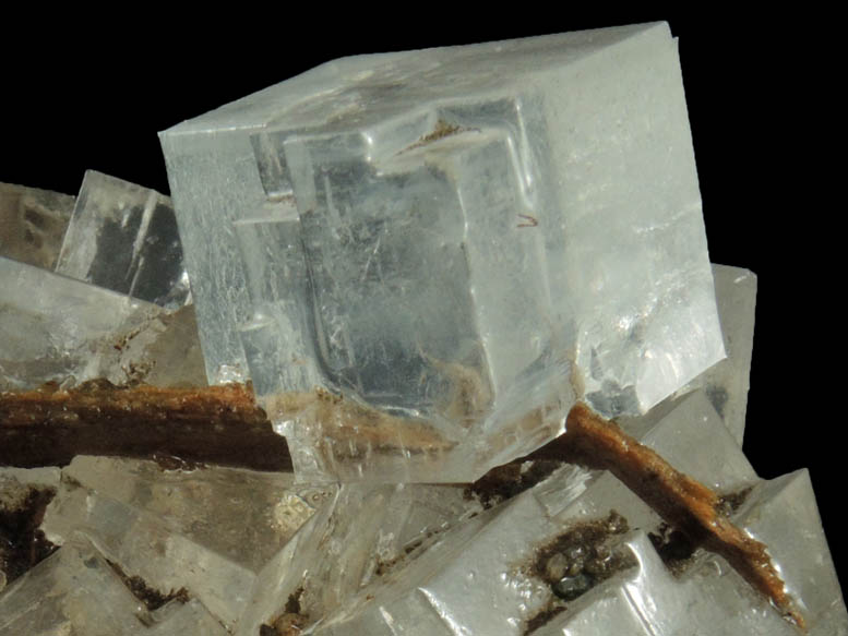 Halite over wood from mine timber from Wieliczka Mine, Malopolskie, Poland