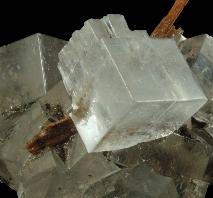 Halite over wood from mine timber from Wieliczka Mine, Malopolskie, Poland