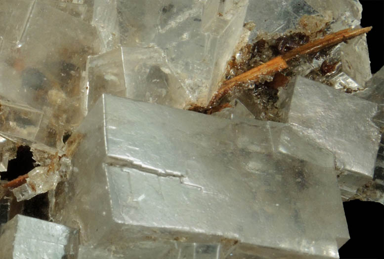 Halite over wood from mine timber from Wieliczka Mine, Malopolskie, Poland