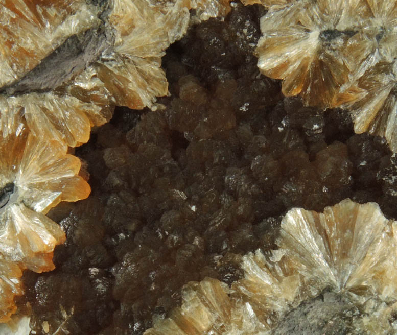 Stilbite from Kibblehouse Quarry, Perkiomenville, Montgomery County, Pennsylvania