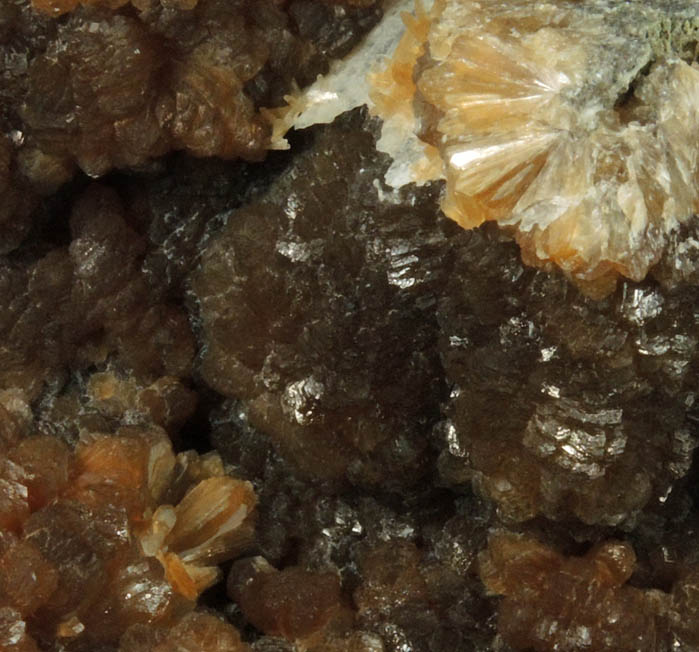 Stilbite from Kibblehouse Quarry, Perkiomenville, Montgomery County, Pennsylvania