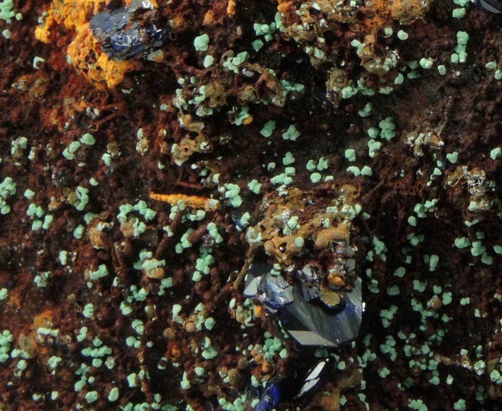 Azurite with Malachite pseudomorphs after Cuprite over Limonite from Copper Queen Mine, Bisbee, Warren District, Cochise County, Arizona