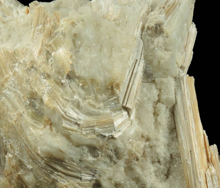 Actinolite-Tremolite in Aragonite-Calcite from Verdolite Quarry, north of Easton, Northampton County, Pennsylvania