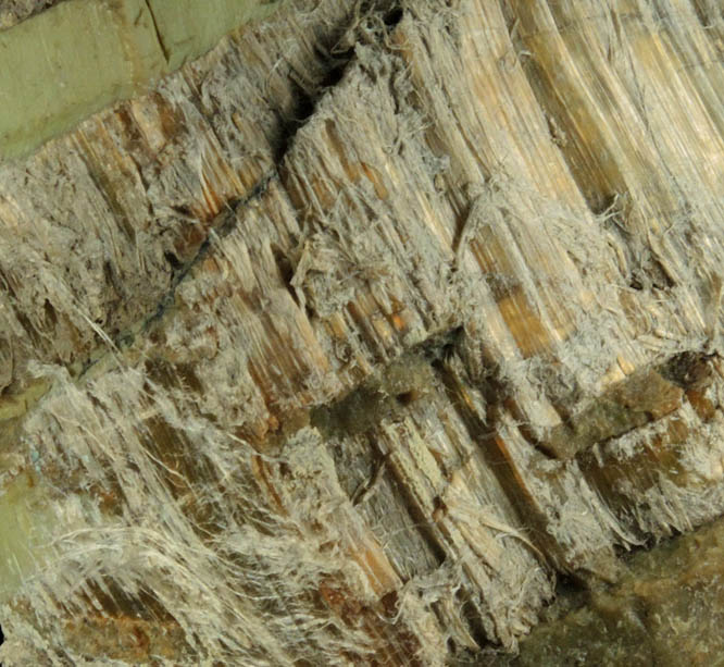 Clinochrysotile in Serpentine from Blue Hill School, Delaware County, Pennsylvania