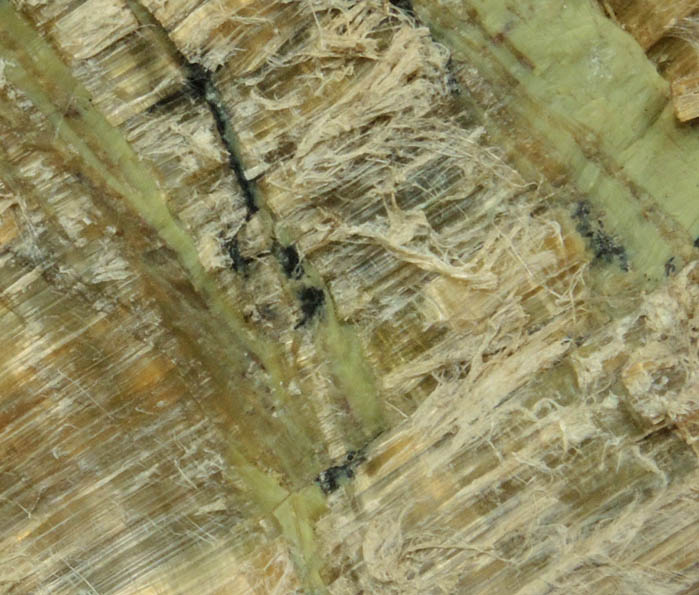 Clinochrysotile in Serpentine from Blue Hill School, Delaware County, Pennsylvania