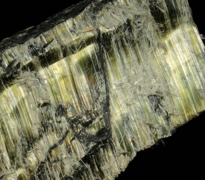 Clinochrysotile from Pylesville (probably Jenkins Asbestos Mine), Hartford County, Maryland