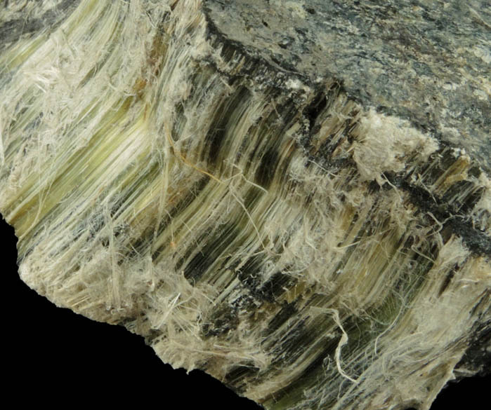 Clinochrysotile from Pylesville (probably Jenkins Asbestos Mine), Hartford County, Maryland