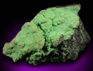 Zaratite over Hydromagnesite on Chromite from Wood's Chrome Mine, State Line District, Lancaster County, Pennsylvania