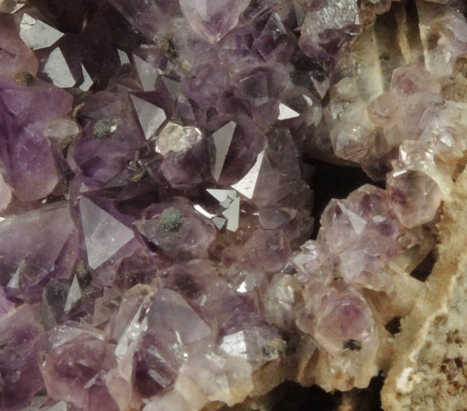 Quartz var. Amethyst with pseudomorphic molds after Anhydrite from Paterson (probably New Street Quarry), Passaic County, New Jersey