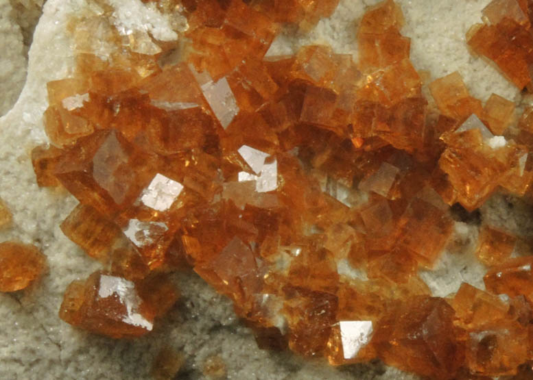 Fluorite with Celestine and Calcite from Clay Center, Ottawa County, Ohio