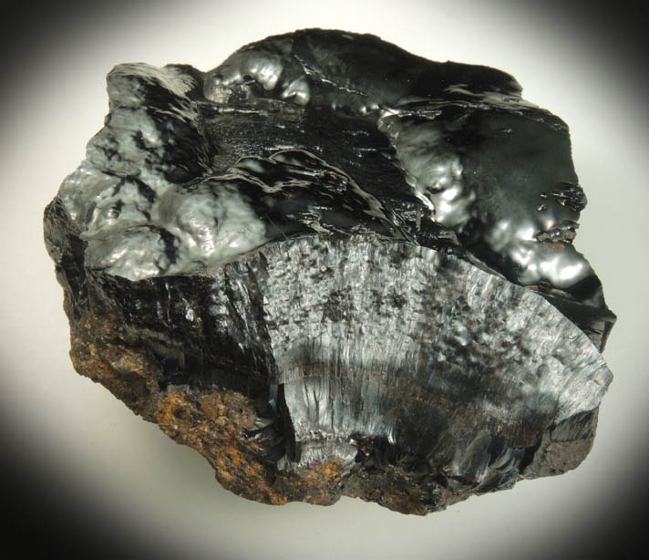 Goethite from Oreland, Montgomery County, Pennsylvania