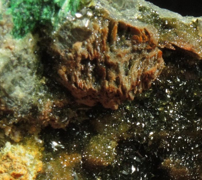 Szenicsite, Powellite and Powellite pseudomorphs after Molybdenite from Jardinera #1 Mine, Tierra Amarilla, Inca de Oro, Chile (Type Locality for Szenicsite)