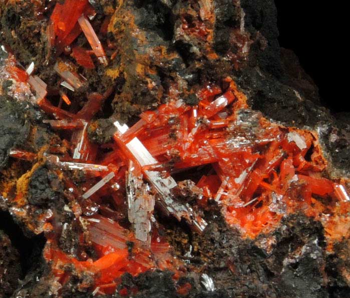 Crocoite from Dundas, Tasmania, Australia