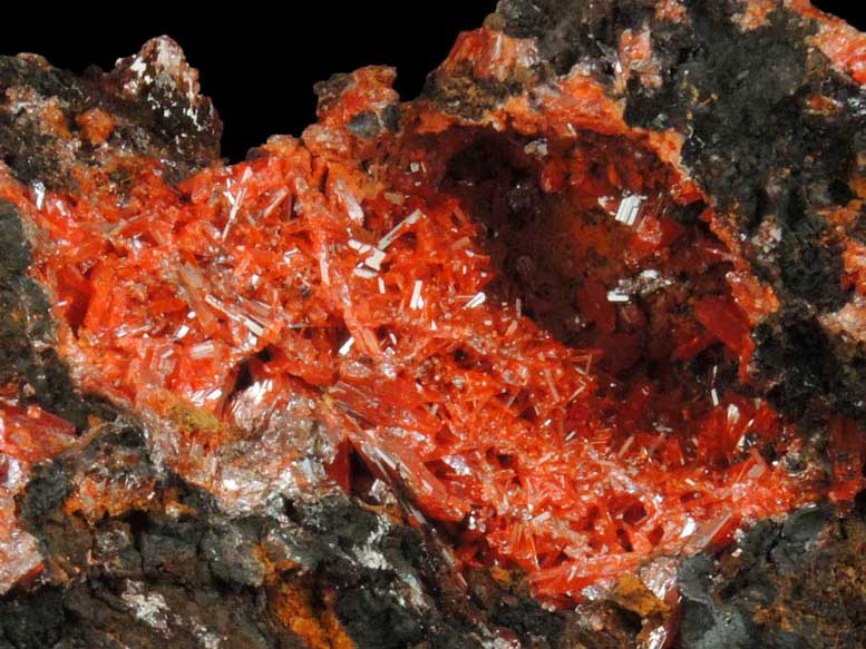 Crocoite from Dundas, Tasmania, Australia