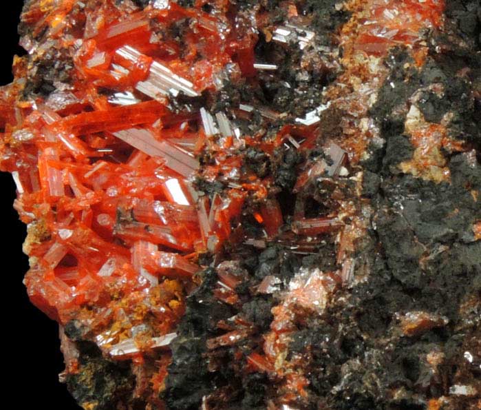 Crocoite from Dundas, Tasmania, Australia