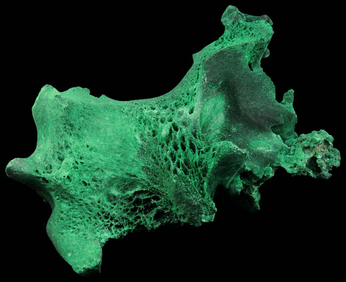 Malachite from Kolwezi Mining District, 240 km WNW of Lubumbashi, Katanga Copperbelt, Lualaba Province, Democratic Republic of the Congo