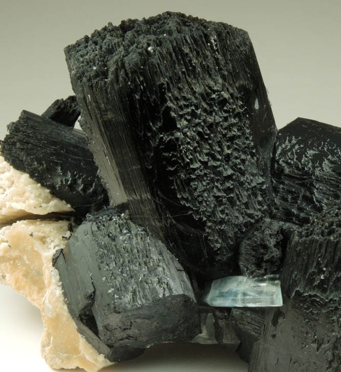 Schorl Tourmaline with Beryl var. Aquamarine on Microcline from Skardu District, Baltistan, Gilgit-Baltistan, Pakistan