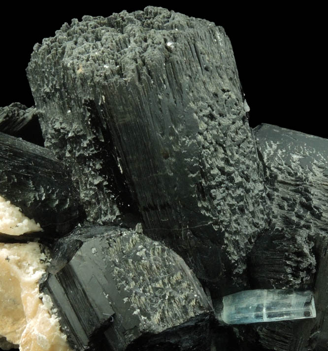 Schorl Tourmaline with Beryl var. Aquamarine on Microcline from Skardu District, Baltistan, Gilgit-Baltistan, Pakistan