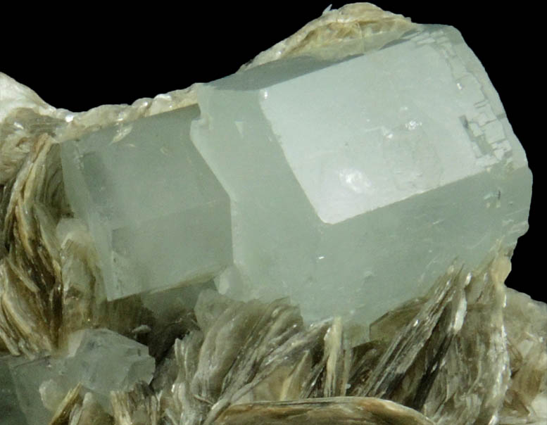 Beryl var. Aquamarine on Muscovite from Nagar, Hunza Valley, Gilgit District, Gilgit-Baltistan, Pakistan