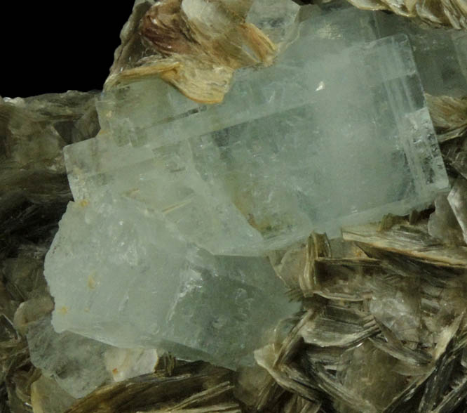 Beryl var. Aquamarine on Muscovite from Nagar, Hunza Valley, Gilgit District, Gilgit-Baltistan, Pakistan