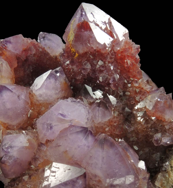 Quartz var. Amethyst (Cactus Quartz) from Boekenhouthoek area, Mpumalanga Province, South Africa