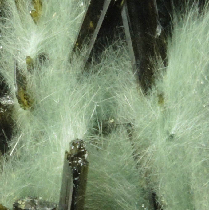 Epidote and Actinolite var. Byssolite in Calcite from Knappenwand, Untersulzbachtal, near Salzburg, Austria